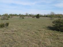 Pelouses calcicoles Pelouses calcicoles